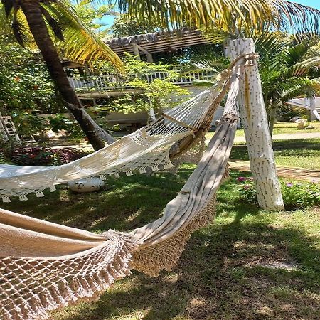 Pousada Vila Das Aguas Caraíva エクステリア 写真